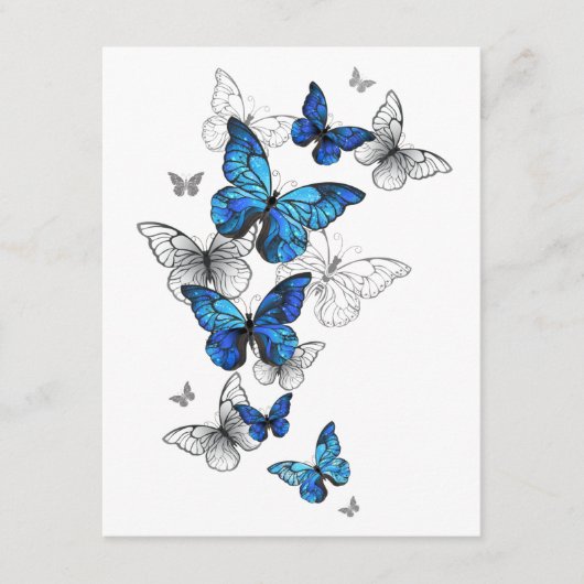 Blue Flying Butterflies Morpho Informatiekaartje (Voorkant)
