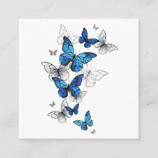 Blue Flying Butterflies Morpho Informatiekaartje (Voorkant)
