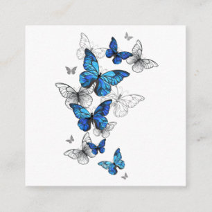 Blue Flying Butterflies Morpho Informatiekaartje