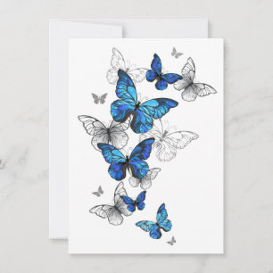 Blue Flying Butterflies Morpho Kaart