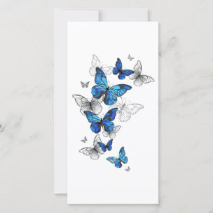 Blue Flying Butterflies Morpho Kaart