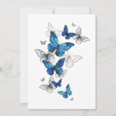 Blue Flying Butterflies Morpho Kaart (Voorkant)
