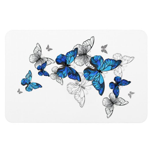 Blue Flying Butterflies Morpho Magneet (Horizontaal)