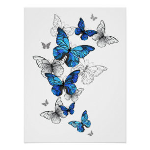 Blue Flying Butterflies Morpho Perfect Poster