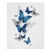Blue Flying Butterflies Morpho Perfect Poster (Voorkant)