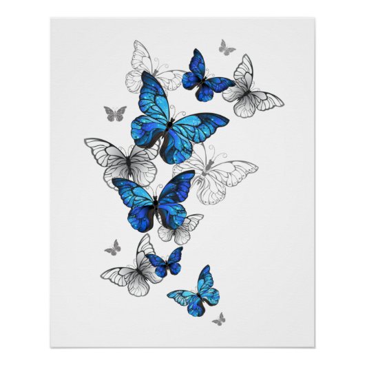 Blue Flying Butterflies Morpho Perfect Poster (Voorkant)