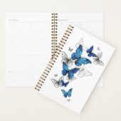 Blue Flying Butterflies Morpho Planner (Display)