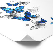 Blue Flying Butterflies Morpho Poster (Hoek)