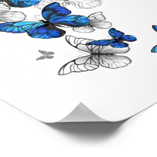 Blue Flying Butterflies Morpho Poster (Hoek)