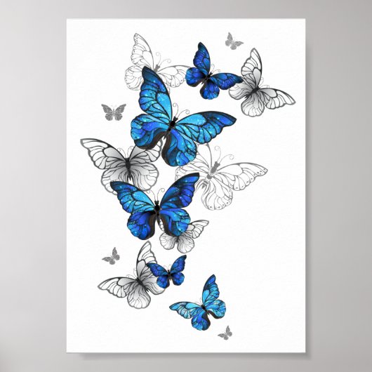 Blue Flying Butterflies Morpho Poster (Voorkant)