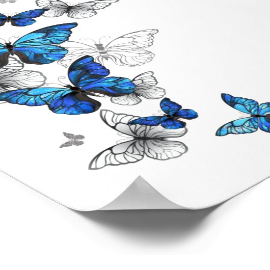 Blue Flying Butterflies Morpho Poster (Hoek)