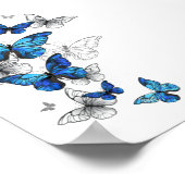 Blue Flying Butterflies Morpho Poster (Hoek)