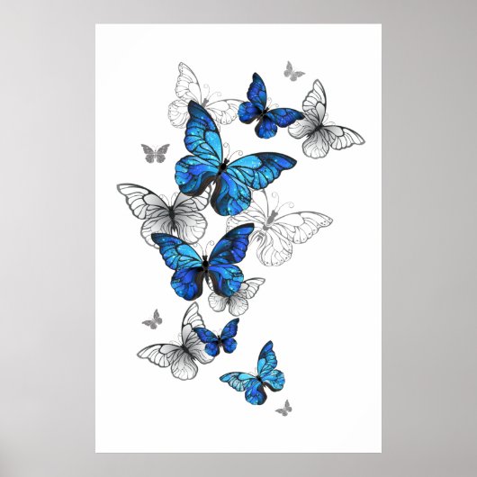 Blue Flying Butterflies Morpho Poster (Voorkant)
