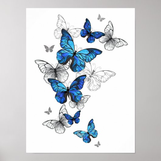 Blue Flying Butterflies Morpho Poster (Voorkant)