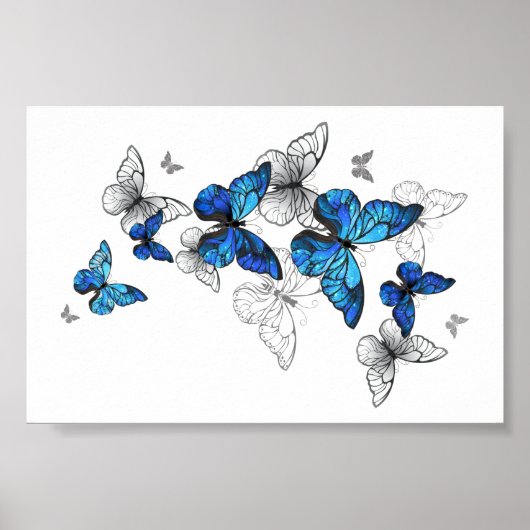 Blue Flying Butterflies Morpho Poster (Voorkant)