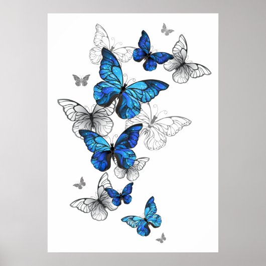 Blue Flying Butterflies Morpho Poster (Voorkant)