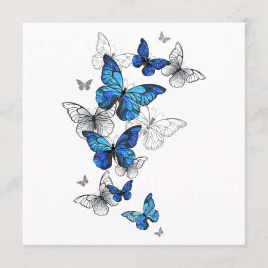 Blue Flying Butterflies Morpho Programmakaart (Voorkant)