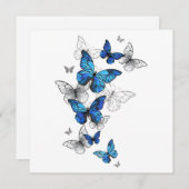 Blue Flying Butterflies Morpho Programmakaart (Voorkant / Achterkant)