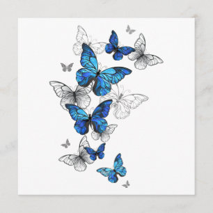 Blue Flying Butterflies Morpho Programmakaart