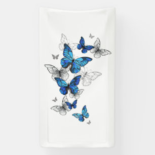 Blue Flying Butterflies Morpho Spandoek