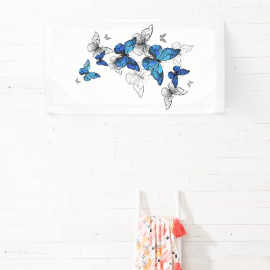 Blue Flying Butterflies Morpho Spandoek (Insitu)