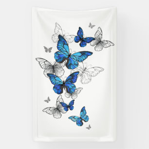 Blue Flying Butterflies Morpho Spandoek