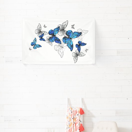 Blue Flying Butterflies Morpho Spandoek (Insitu)