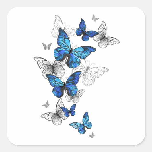 Blue Flying Butterflies Morpho Vierkante Sticker (Voorkant)