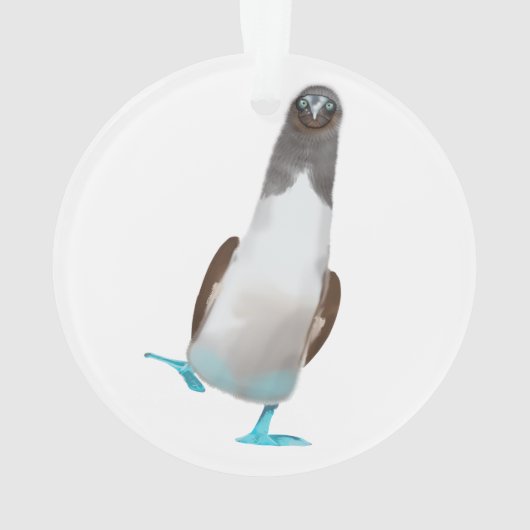 Blue-footed biddy ornament (achterkant)