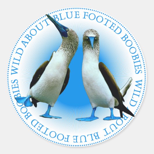 Blue Footed Boobies Vogelvogels Stickers (Voorkant)