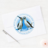 Blue Footed Boobies Vogelvogels Stickers (Envelop)