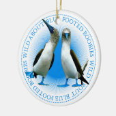 Blue Footed Booby Birds Galapagos Keramisch Ornament (Links)