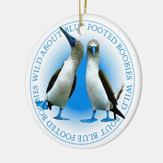 Blue Footed Booby Birds Galapagos Keramisch Ornament (Links)