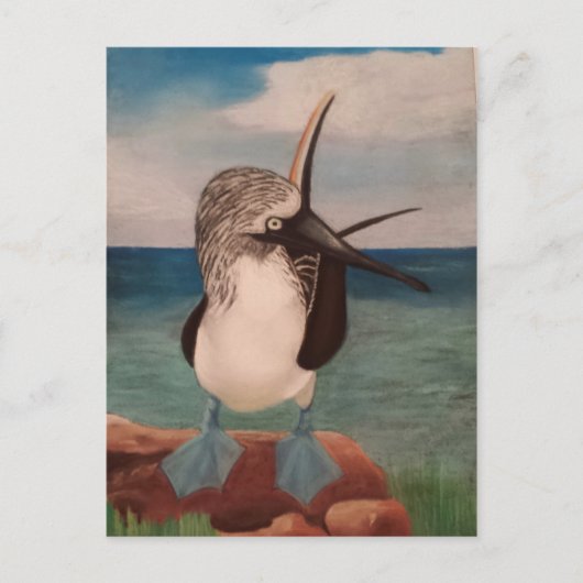 Blue Footed Booby Briefkaart (Voorkant)