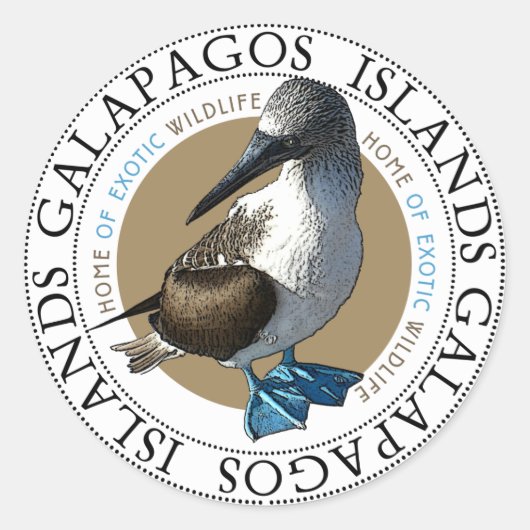 Blue Footed Booby Galapagos Islands Ronde Sticker (Voorkant)