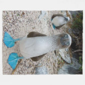 BLUE FOOTED BOOBY (Honest, dat is de naam) Fleece Deken (Voorkant (Horizontaal))