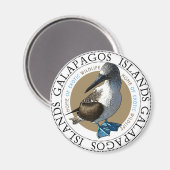Blue Footed Booby magneet (Voorkant / Achterkant)