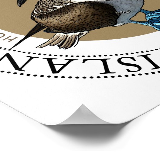 Blue Footed Booby Poster (Hoek)