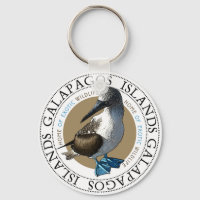 Blue Footed Booby