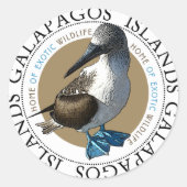 Blue Footed Booby stickers (Voorkant)