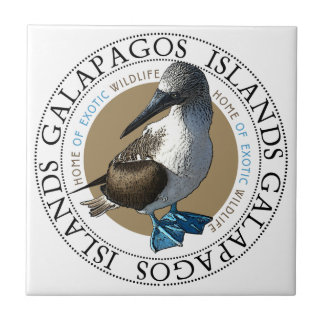 Blue Footed Booby tegel Tegeltje
