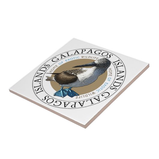 Blue Footed Booby tegel Tegeltje (Zijkant)