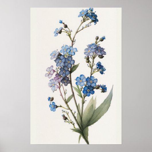 Blue Forget Me Nots Flower Art Print Poster (Voorkant)