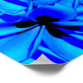 Blue Frangipani Flowers Poster (Hoek)