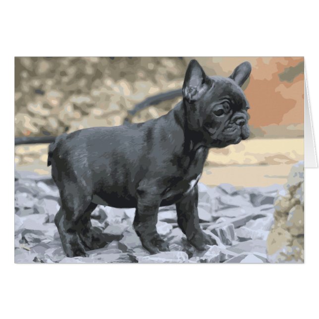 BLUE FRENCHIE (Voorkant Horizontaal)