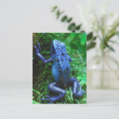 blue-frog-1.jpg briefkaart (Staand voorkant)