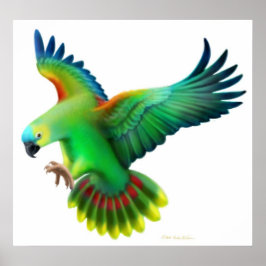 Blue Fronted Amazon Parrot Poster