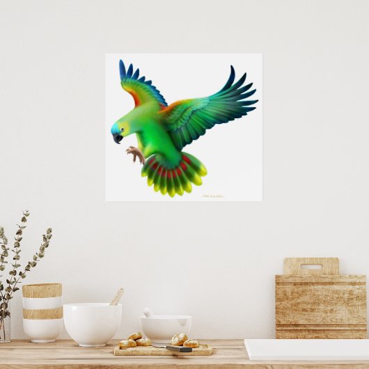 Blue Fronted Amazon Parrot Poster (Keuken)