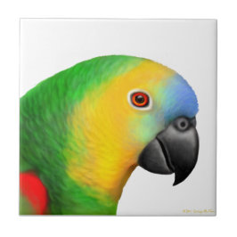 Blue Fronted Amazon Parrot Tile Tegeltje