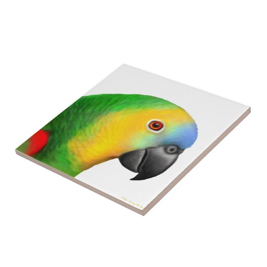 Blue Fronted Amazon Parrot Tile Tegeltje (Zijkant)